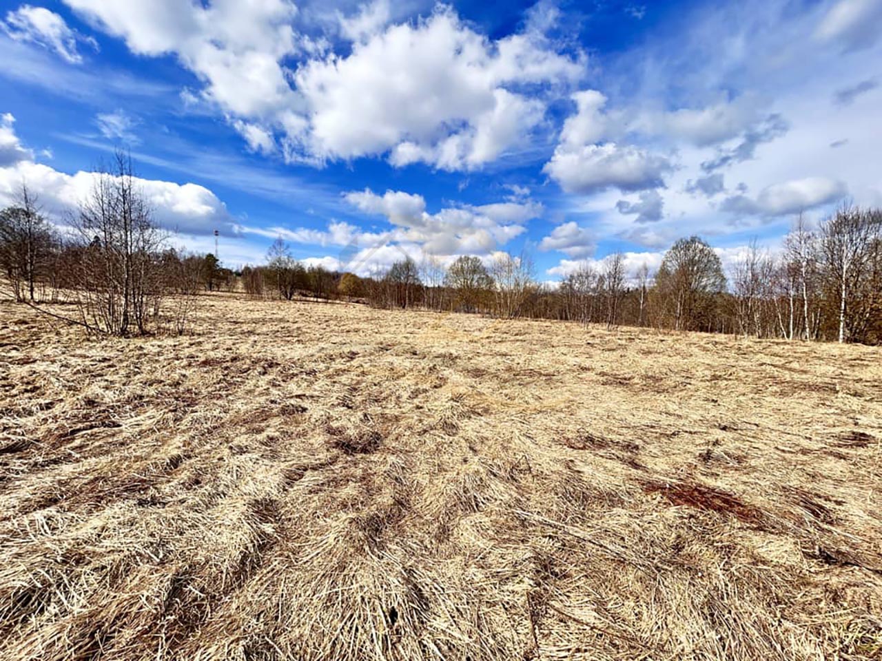 Земельный участок 20 соток в деревне Горбово. Дмитровский муниципальный округ / 1200000 руб. / КварталСити
