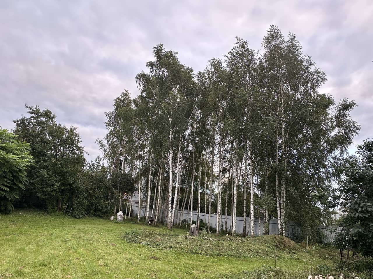 Москва и МО, Дмитровский муниципальный округ, село Внуково; Участок на участке 8 сот.