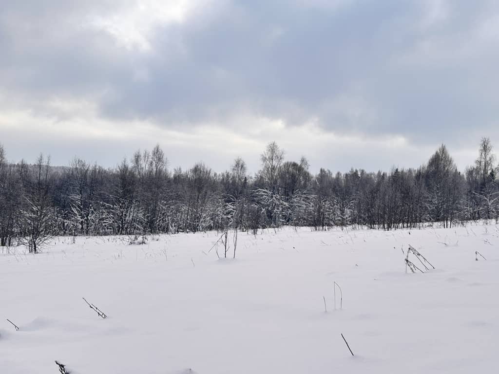 Москва и МО, Дмитровский муниципальный округ, деревня Горбово; Участок на участке 20 сот.